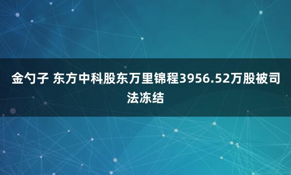 金勺子 东方中科股东万里锦程3956.52万股被司法冻结